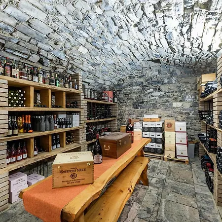 Sant' Anna Hotel Argegno